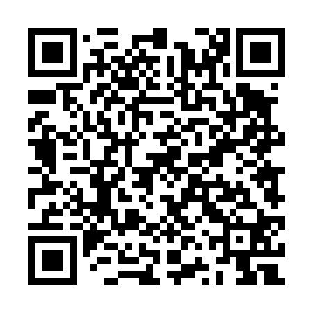QR code for ZVT420