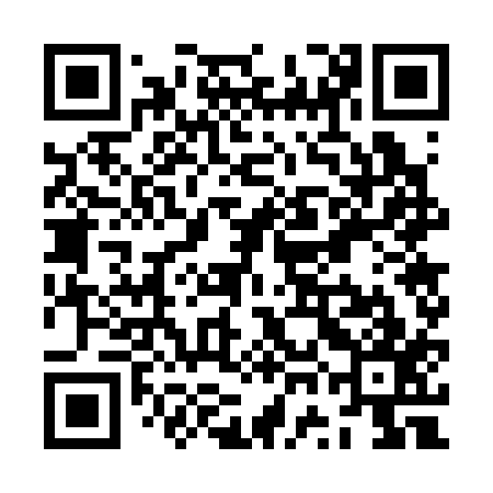 QR code for ZWG317