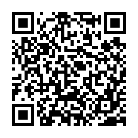 QR code for ZWG656
