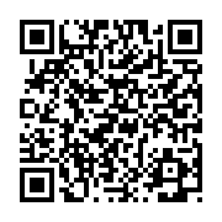 QR code for ZWH401