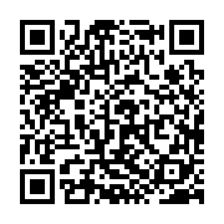 QR code for ZXP368