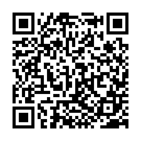 QR code for ZXV302