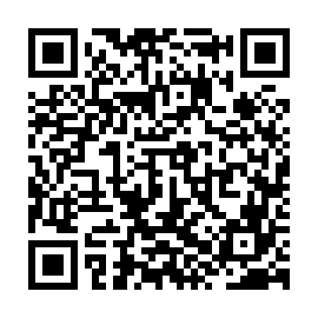 QR code for ZXV866