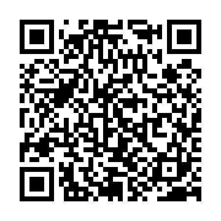 QR code for ZYC523