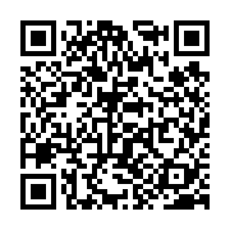 QR code for ZYG629