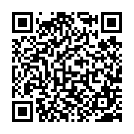 QR code for ZYL606