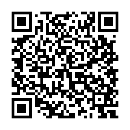 QR code for ZYN141