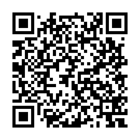 QR code for ZYP119