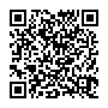 QR code for ZYP925