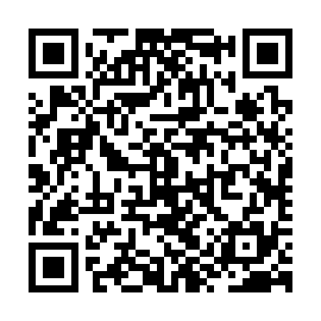 QR code for ZYR335