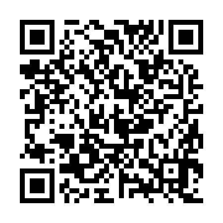 QR code for ZYS994