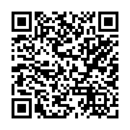 QR code for ZZM293