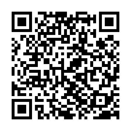 QR code for ZZN579