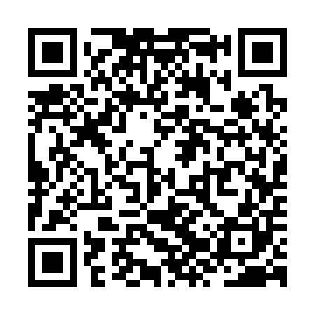 QR code for ZZS300