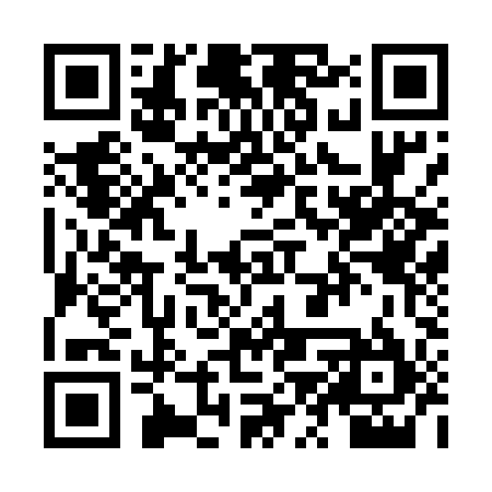 QR code for ZZW595