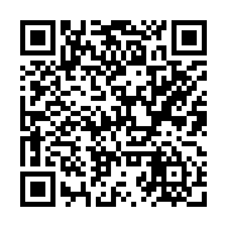QR code for ZZZ955