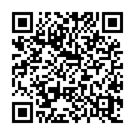 QR code for 006MLX