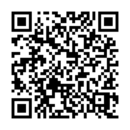 QR code for 009IIR