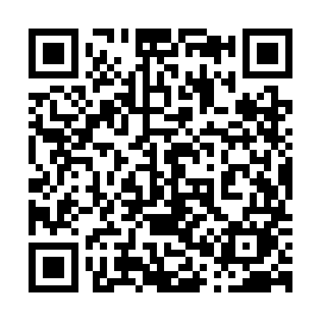 QR code for 009SMM