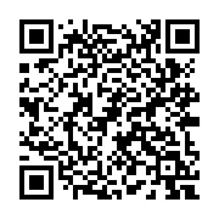 QR code for 009ZIL