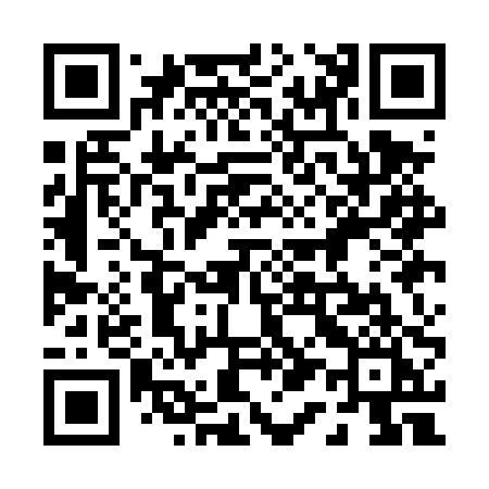 QR code for 011DPI
