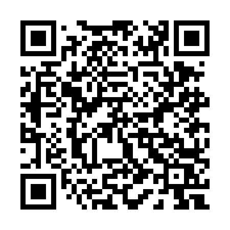 QR code for 013DLS
