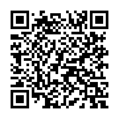 QR code for 029HOL