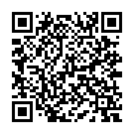 QR code for 029PMS