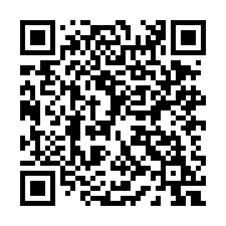 QR code for 038DAM