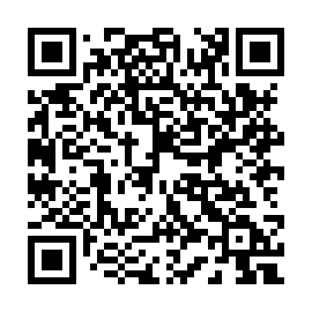 QR code for 038HSD