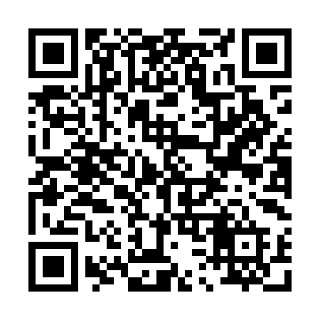 QR code for 038MID