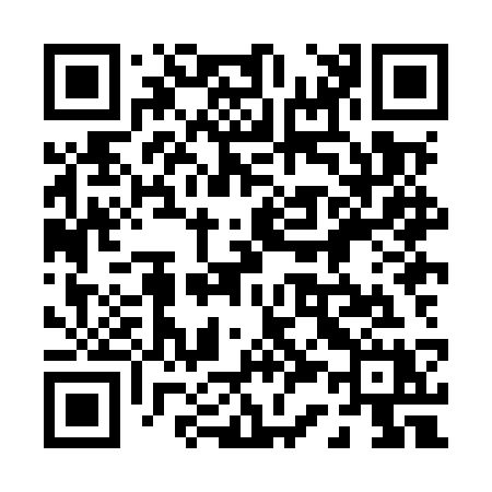 QR code for 038MSX