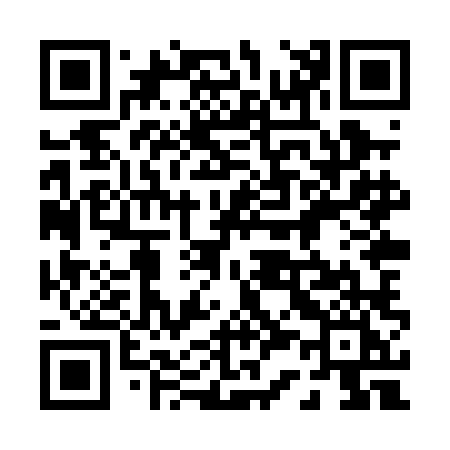 QR code for 038PLI