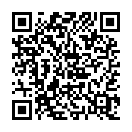 QR code for 039YAG