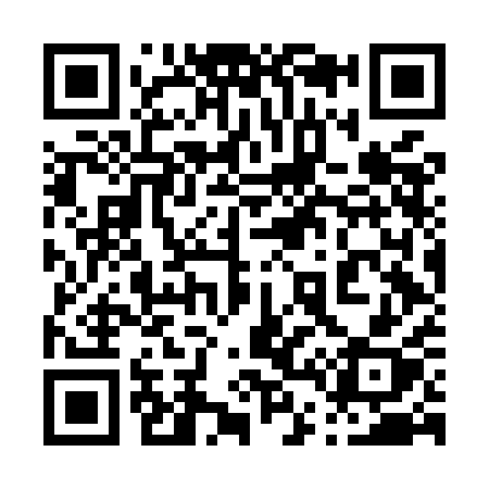 QR code for 046MAX