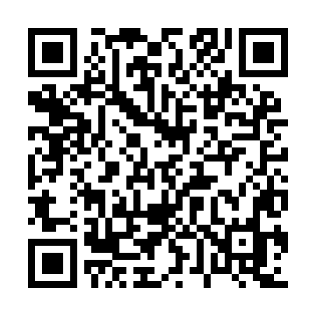 QR code for 063ILO