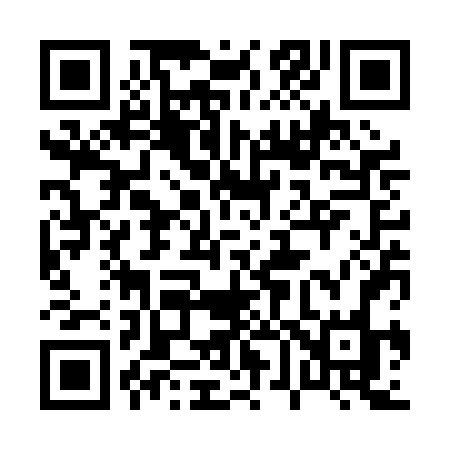 QR code for 063PFO
