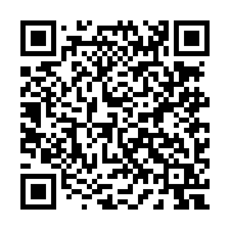 QR code for 077LIR