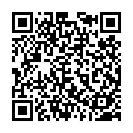 QR code for 100DQM