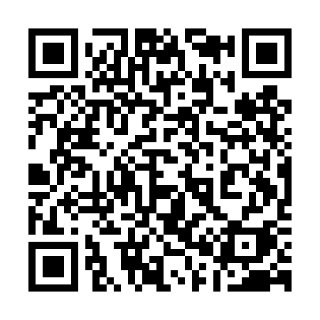 QR code for 101DSI