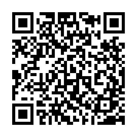 QR code for 101LNS