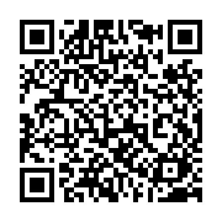 QR code for 101LZM