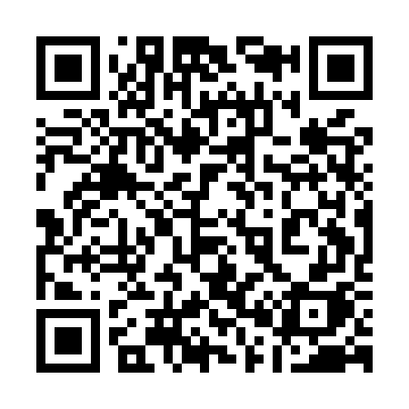 QR code for 101MWH