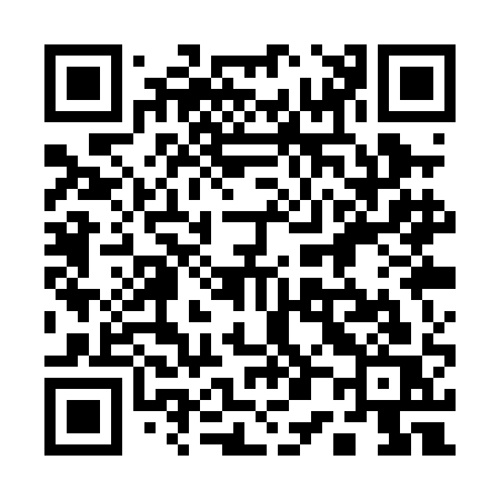 QR code for 101PAS