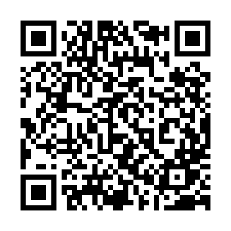 QR code for 101QLT