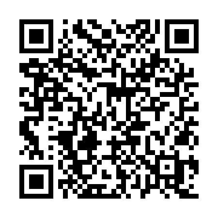 QR code for 101QNH