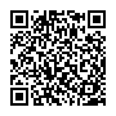 QR code for 101QZM