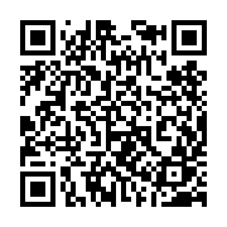 QR code for 101TIR