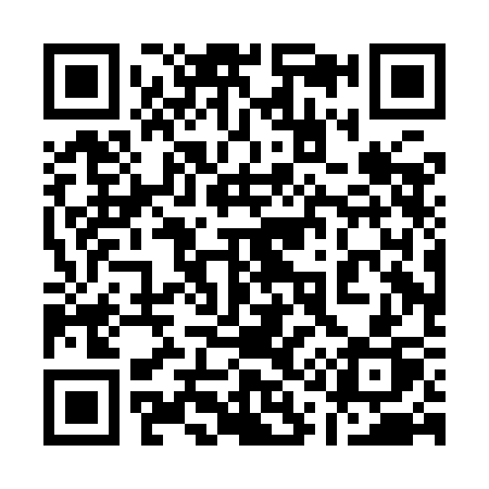 QR code for 110ICP