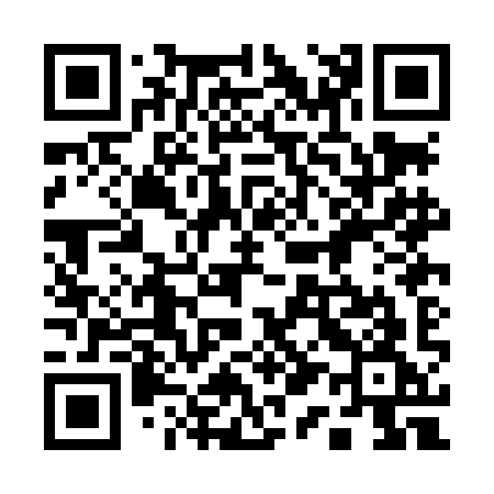 QR code for 110LIG